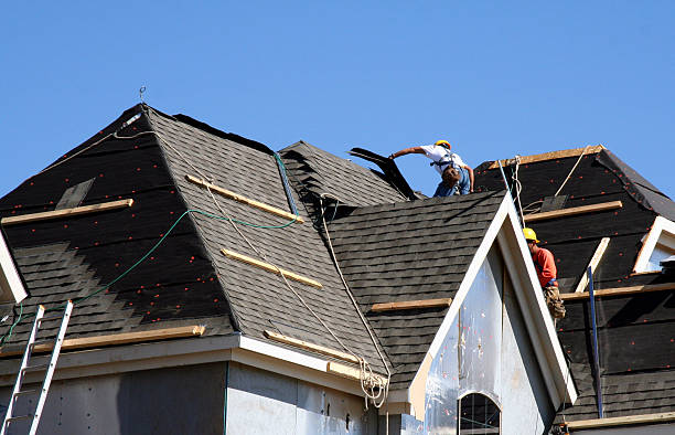 Best Roof Maintenance Services  in Mayville, WI