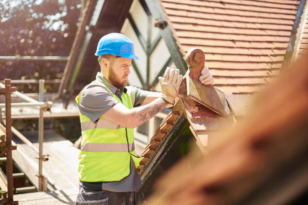 Best Residential Roof Replacement  in Mayville, WI